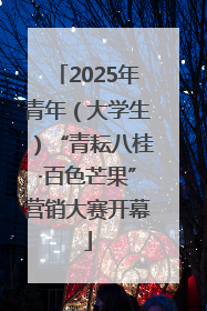 2025年青年（大学生）“青耘八桂·百色芒果”营销大赛开幕