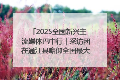 2025全国新兴主流媒体巴中行｜采访团在通江县瞻仰全国最大红军烈士陵园