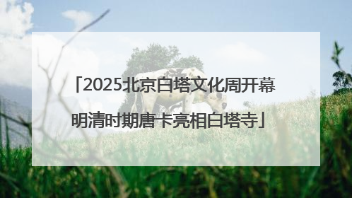 2025北京白塔文化周开幕 明清时期唐卡亮相白塔寺