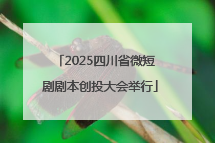 2025四川省微短剧剧本创投大会举行