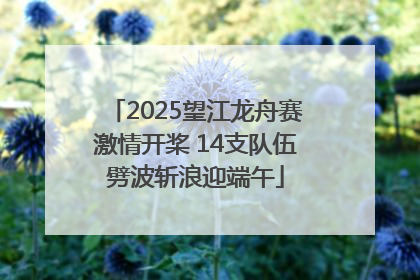 2025望江龙舟赛激情开桨 14支队伍劈波斩浪迎端午