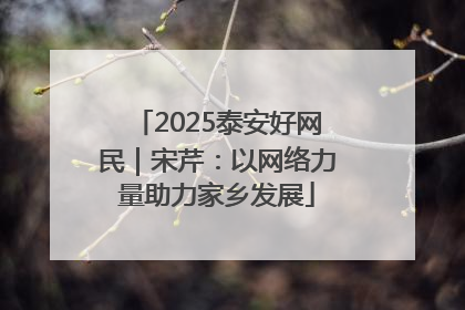 2025泰安好网民｜宋芹：以网络力量助力家乡发展
