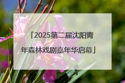 2025第二届沈阳青年森林戏剧嘉年华启幕