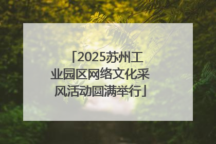 2025苏州工业园区网络文化采风活动圆满举行