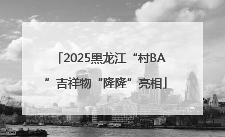 2025黑龙江“村BA”吉祥物“隆隆”亮相