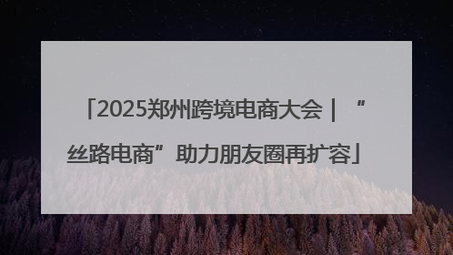 2025郑州跨境电商大会｜“丝路电商”助力朋友圈再扩容