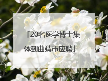 20名医学博士集体到曲靖市应聘