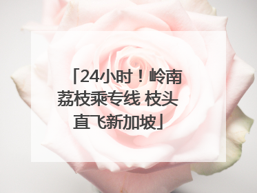 24小时！岭南荔枝乘专线 枝头直飞新加坡