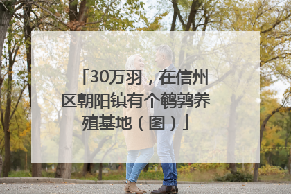 30万羽，在信州区朝阳镇有个鹌鹑养殖基地（图）