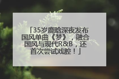 35岁鹿晗深夜发布国风单曲《梦》，融合国风与现代R&B，还首次尝试戏腔！