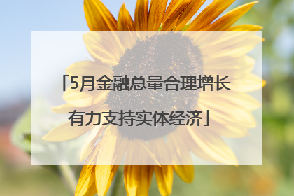 5月金融总量合理增长 有力支持实体经济
