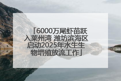 6000万尾虾苗跃入莱州湾 潍坊滨海区启动2025年水生生物增殖放流工作