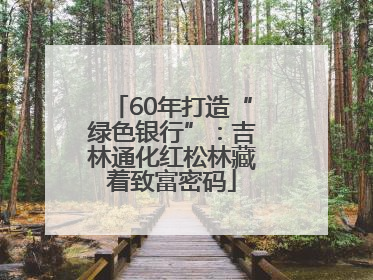 60年打造“绿色银行”：吉林通化红松林藏着致富密码