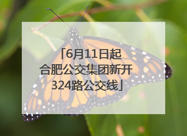 6月11日起 合肥公交集团新开324路公交线