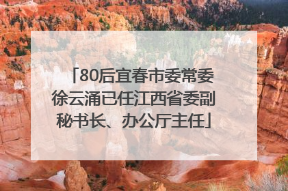 80后宜春市委常委徐云涌已任江西省委副秘书长、办公厅主任