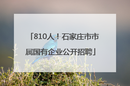 810人！石家庄市市属国有企业公开招聘
