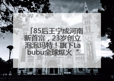85后王宁成河南新首富，23岁创立泡泡玛特！旗下Labubu全球爆火“一娃难求”