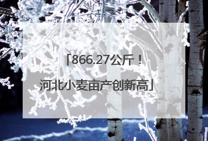866.27公斤！河北小麦亩产创新高