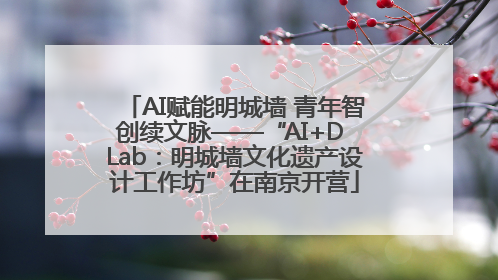AI赋能明城墙 青年智创续文脉——“AI+D Lab：明城墙文化遗产设计工作坊”在南京开营