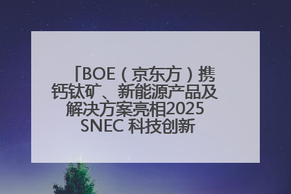 BOE（京东方）携钙钛矿、新能源产品及解决方案亮相2025 SNEC 科技创新赋能行业绿色发展