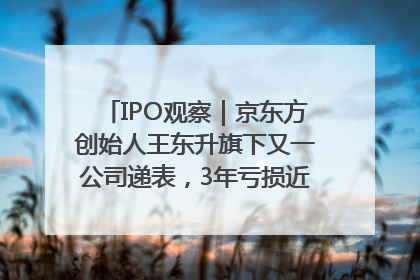 IPO观察｜京东方创始人王东升旗下又一公司递表，3年亏损近50亿元，近8成收入来自同一客户