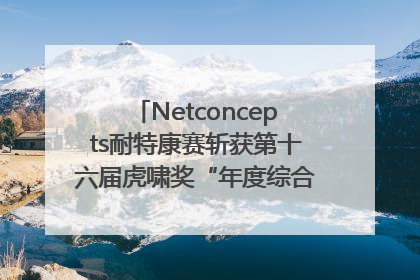 Netconcepts耐特康赛斩获第十六届虎啸奖“年度综合服务商”大奖